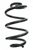 Fahrwerksfeder Vorderachse SPIDAN 87446