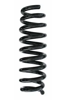 Fahrwerksfeder Hinterachse SPIDAN 87457