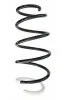 Fahrwerksfeder Vorderachse SPIDAN 87458