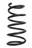 Fahrwerksfeder Vorderachse SPIDAN 87460