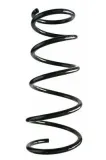 Fahrwerksfeder Vorderachse SPIDAN 87465