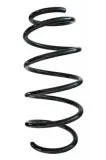 Fahrwerksfeder Vorderachse SPIDAN 87467