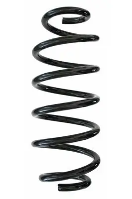 Fahrwerksfeder Hinterachse SPIDAN 87472