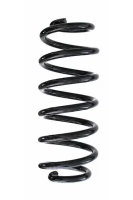 Fahrwerksfeder Hinterachse SPIDAN 87479