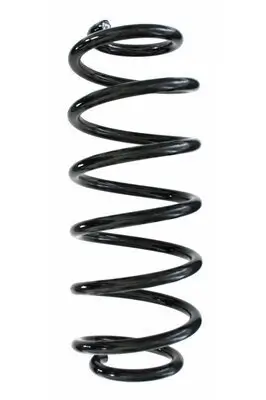 Fahrwerksfeder Hinterachse SPIDAN 87486