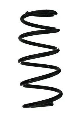 Fahrwerksfeder Vorderachse SPIDAN 87488