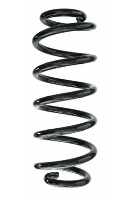 Fahrwerksfeder Hinterachse SPIDAN 87496