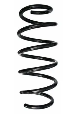 Fahrwerksfeder Vorderachse SPIDAN 87501