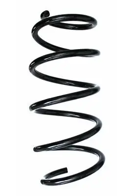 Fahrwerksfeder Vorderachse SPIDAN 87505