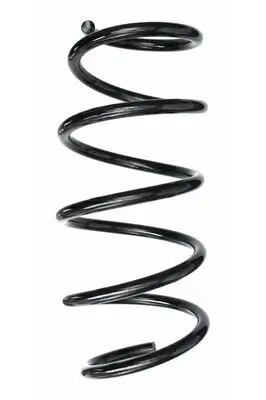 Fahrwerksfeder Vorderachse SPIDAN 87506