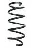 Fahrwerksfeder Vorderachse SPIDAN 87507