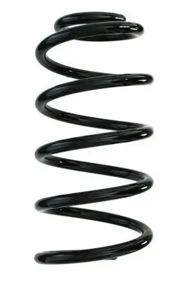 Fahrwerksfeder Hinterachse SPIDAN 87511