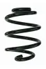 Fahrwerksfeder Hinterachse SPIDAN 87513