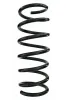 Fahrwerksfeder Hinterachse SPIDAN 87518