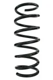 Fahrwerksfeder Hinterachse SPIDAN 87518