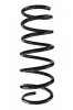 Fahrwerksfeder Hinterachse SPIDAN 87519
