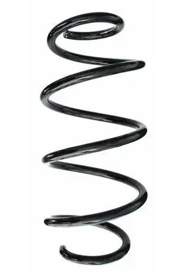 Fahrwerksfeder Vorderachse SPIDAN 87522