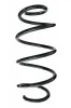 Fahrwerksfeder Vorderachse SPIDAN 87522