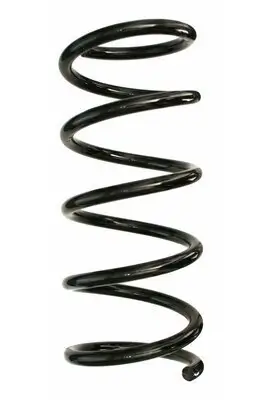 Fahrwerksfeder Hinterachse SPIDAN 87534