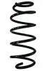 Fahrwerksfeder Vorderachse SPIDAN 87537