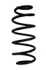 Fahrwerksfeder Vorderachse SPIDAN 87539