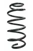 Fahrwerksfeder Vorderachse SPIDAN 87540