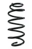 Fahrwerksfeder Vorderachse SPIDAN 87541