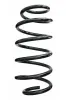 Fahrwerksfeder Vorderachse SPIDAN 87542
