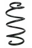Fahrwerksfeder Vorderachse SPIDAN 87554