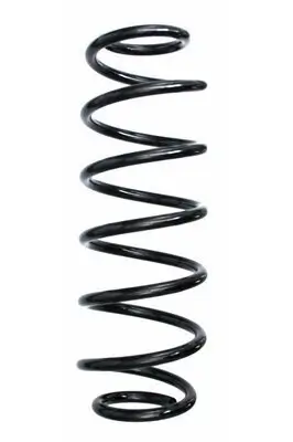 Fahrwerksfeder Hinterachse SPIDAN 87556