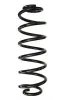Fahrwerksfeder Hinterachse SPIDAN 87558