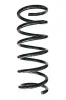 Fahrwerksfeder Hinterachse SPIDAN 87565
