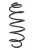 Fahrwerksfeder Vorderachse SPIDAN 87569