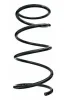 Fahrwerksfeder Vorderachse SPIDAN 87579