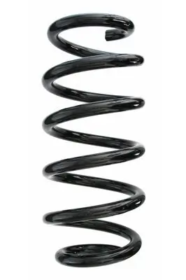Fahrwerksfeder Hinterachse SPIDAN 87594