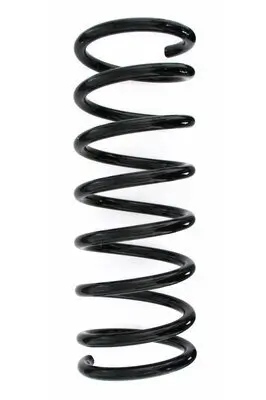 Fahrwerksfeder Hinterachse SPIDAN 87599