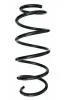 Fahrwerksfeder Vorderachse SPIDAN 87604