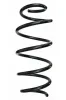 Fahrwerksfeder Vorderachse SPIDAN 87606