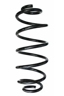 Fahrwerksfeder Hinterachse SPIDAN 87608