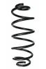 Fahrwerksfeder Hinterachse SPIDAN 87608