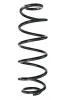 Fahrwerksfeder Hinterachse SPIDAN 87609