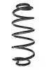 Fahrwerksfeder Hinterachse SPIDAN 87614