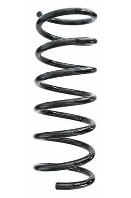Fahrwerksfeder Hinterachse SPIDAN 87615