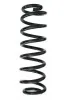 Fahrwerksfeder Hinterachse SPIDAN 87633