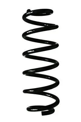 Fahrwerksfeder Hinterachse SPIDAN 87640