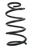 Fahrwerksfeder Vorderachse SPIDAN 87646