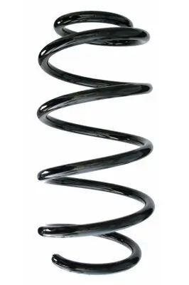 Fahrwerksfeder Vorderachse SPIDAN 87649