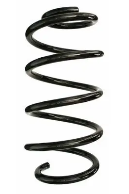 Fahrwerksfeder Vorderachse SPIDAN 87650