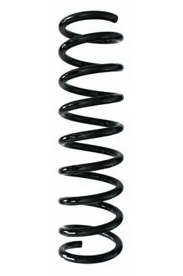 Fahrwerksfeder Hinterachse SPIDAN 87653