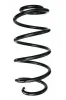 Fahrwerksfeder Vorderachse SPIDAN 87654